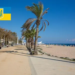 https://colibri-calella.catalonia-hotels.com